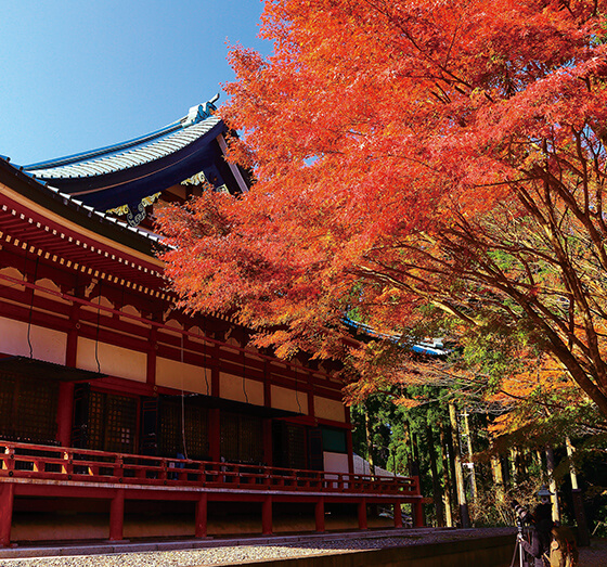画像：比叡山延暦寺