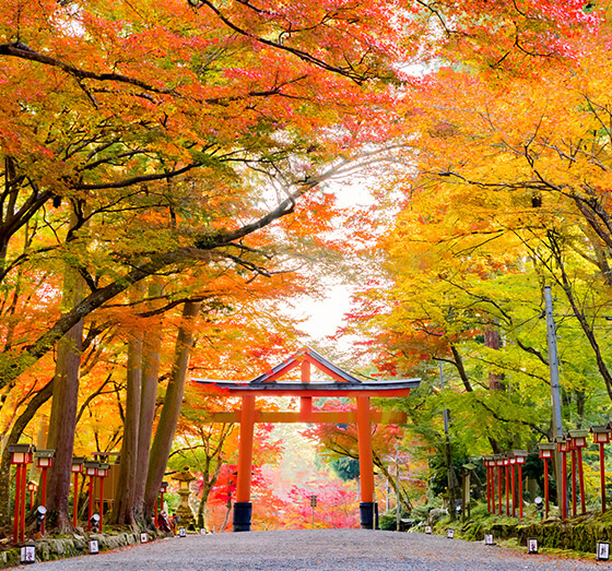 画像：日吉大社