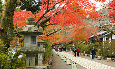 画像：石山寺