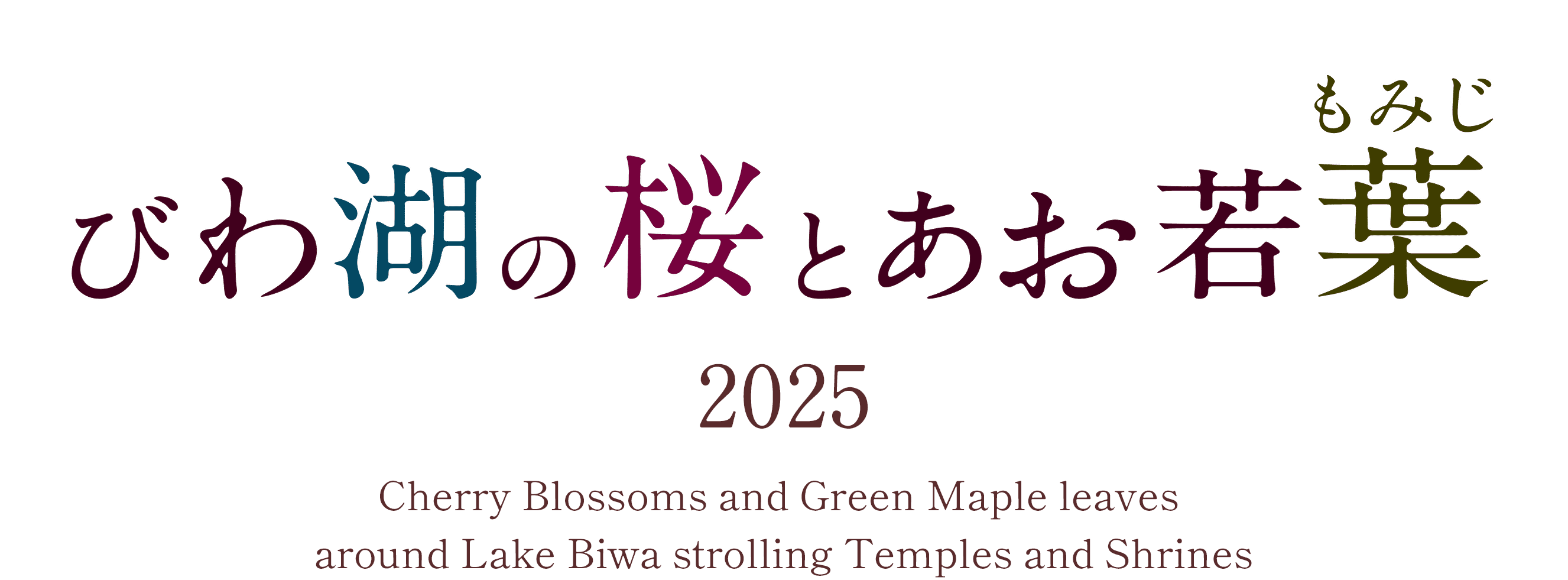 びわ湖の桜とあお若葉 | びわ湖大津トラベルガイド