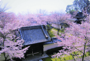 西教寺