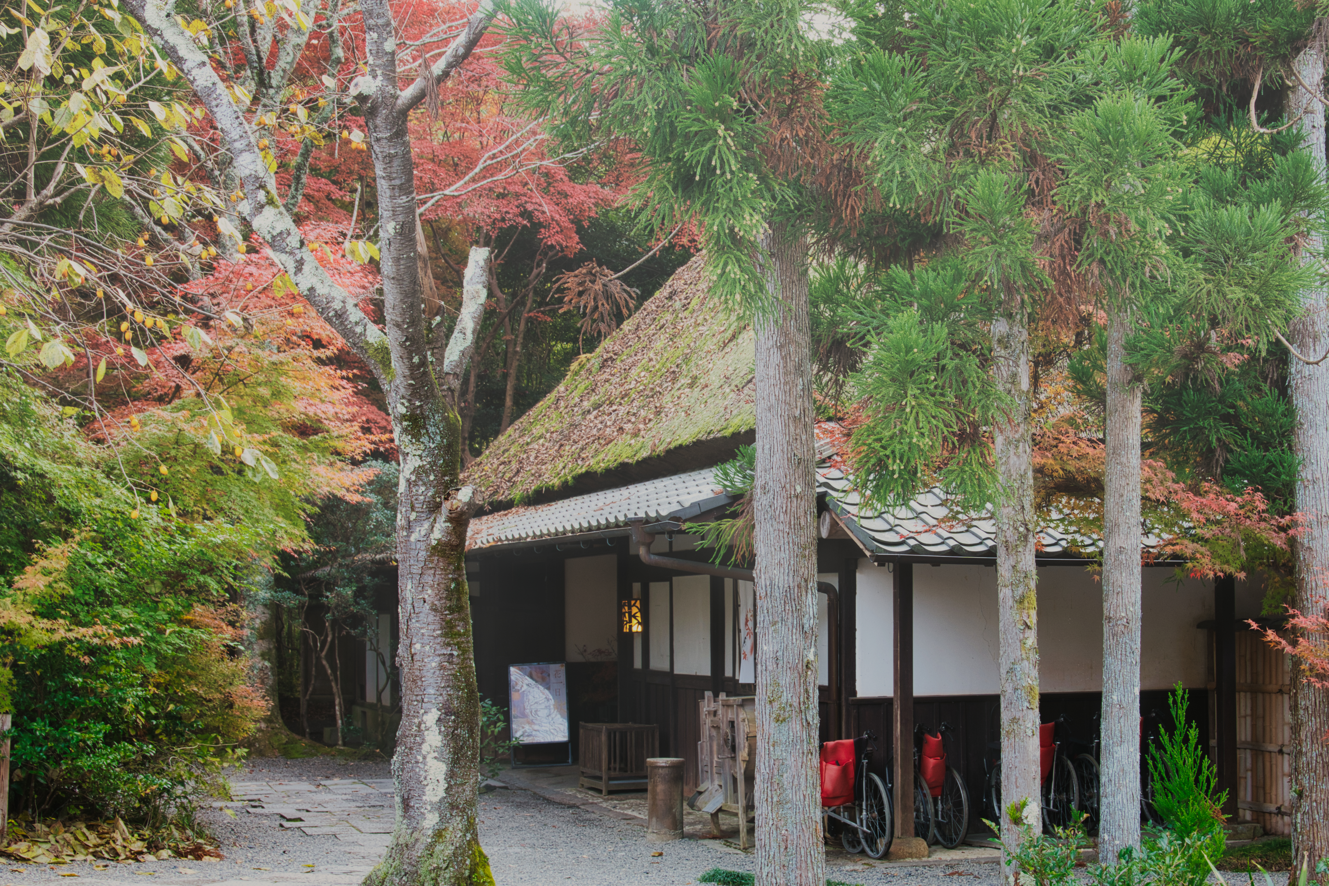 お茶屋