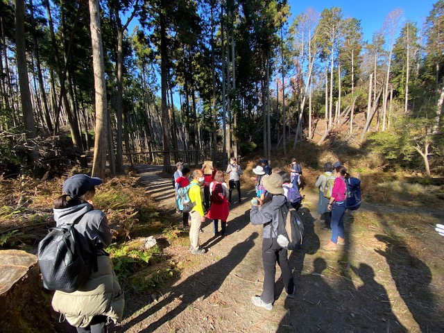 Mt.Nyoigadake