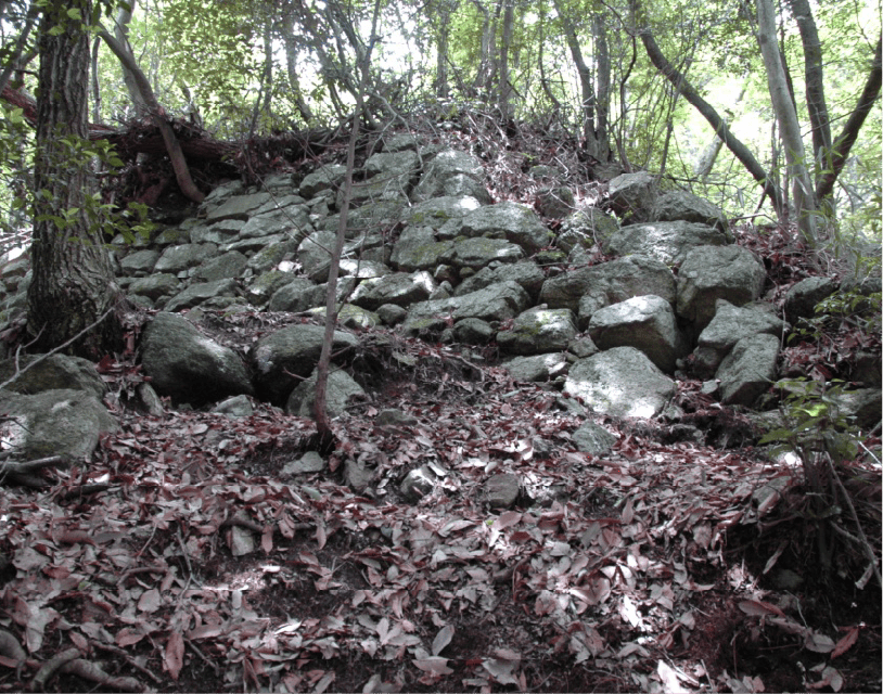 滋賀大津 比叡山エリアの画像