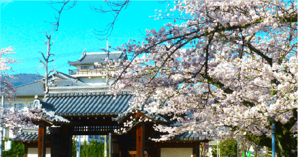 滋賀県大津市のスポット画像