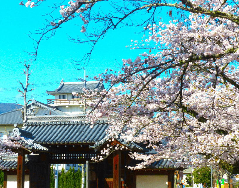 滋賀大津 膳所エリアの画像