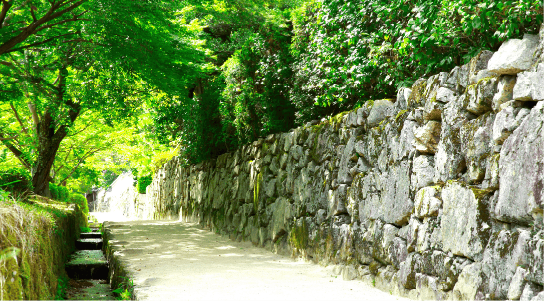 穴太衆積みの石垣