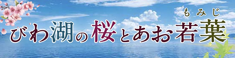びわ湖の桜とあお若葉