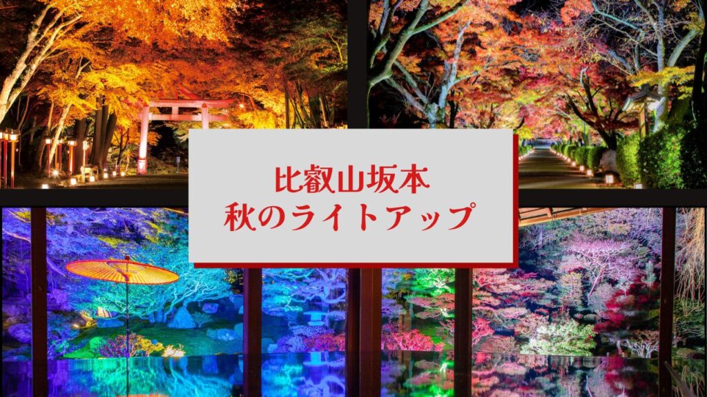 『比叡山坂本 秋のライトアップ』～塞王の楯ゆかりの地をめぐる 穴太衆積みの里～