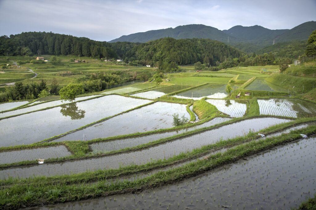 日本の原風景・仰木の棚田 里山サイクリングコース | びわ湖大津
