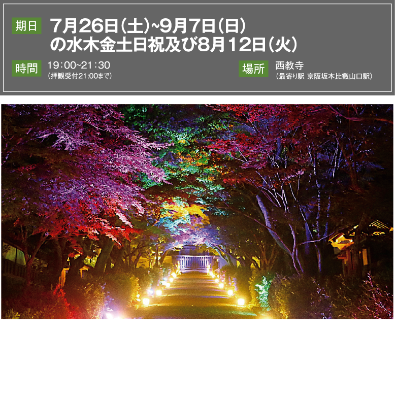 西教寺夕涼み夏のライトアップ