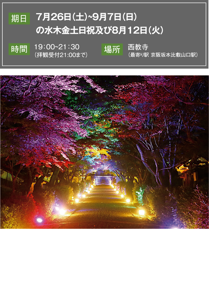 西教寺夕涼み夏のライトアップ