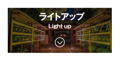 ライトアップ